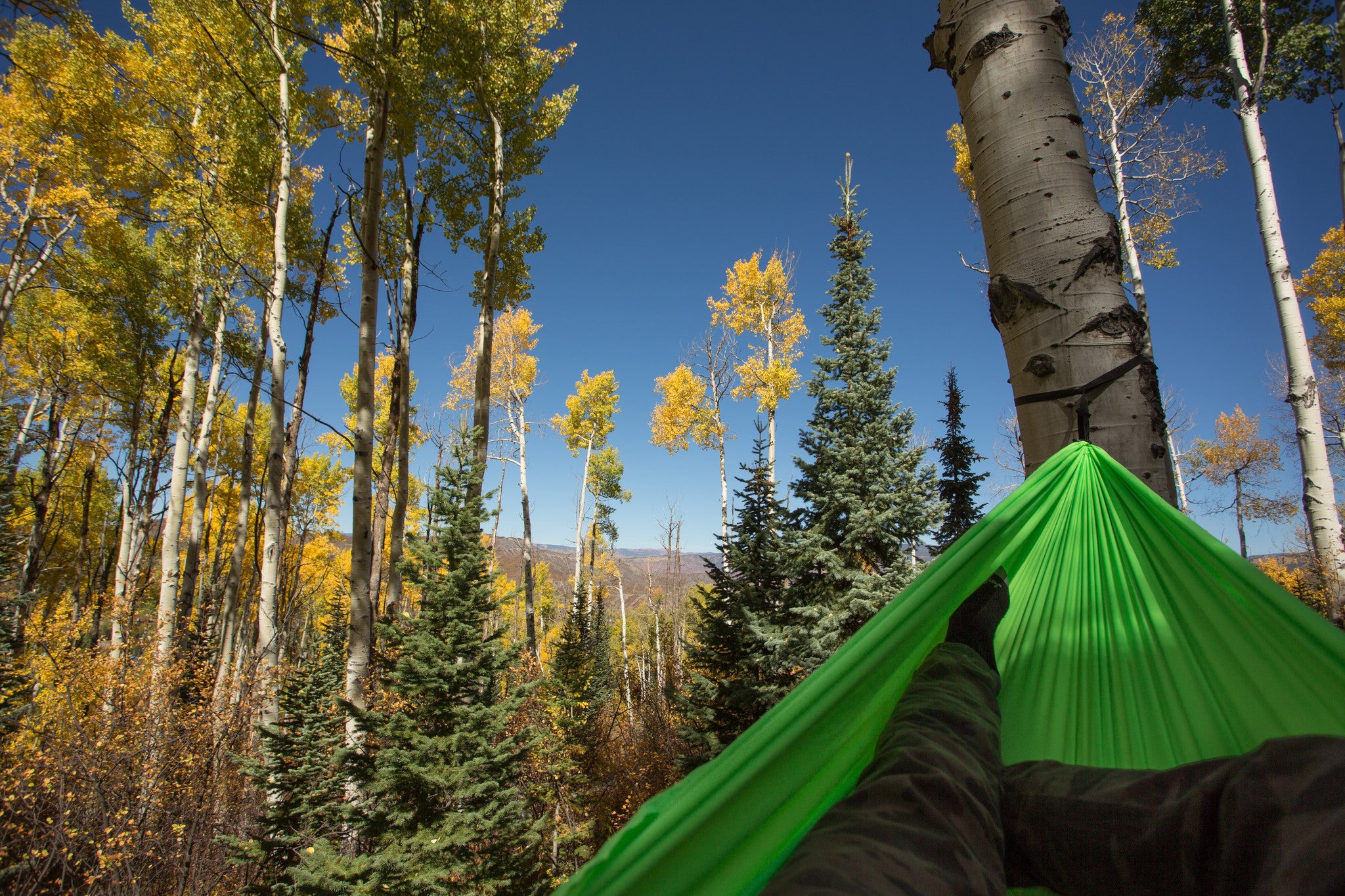 SomniSmart™ Recycled Hammock w/ Suspension