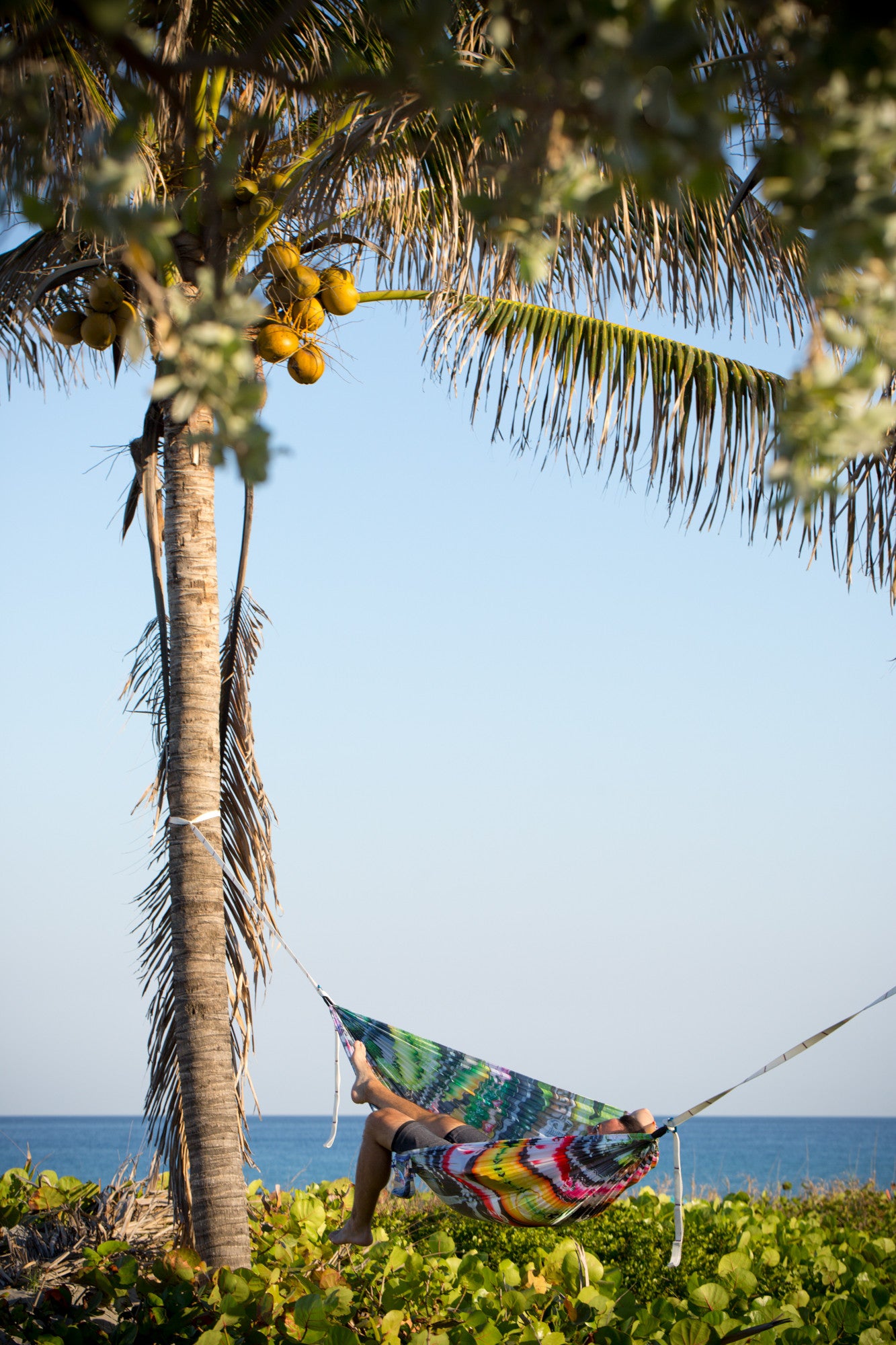 Vista Series Printed Hammocks