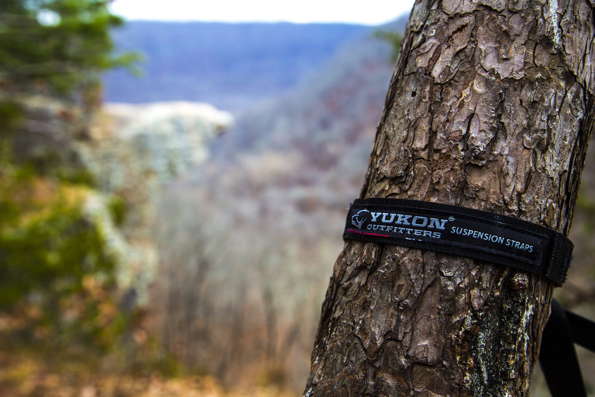 Made in USA Tree Straps